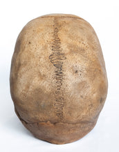 Load image into Gallery viewer, Human Skull Replica - Classic