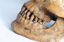 Load image into Gallery viewer, Human Skull Replica - Classic