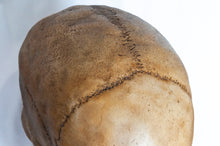 Load image into Gallery viewer, Human Skull Replica - Classic